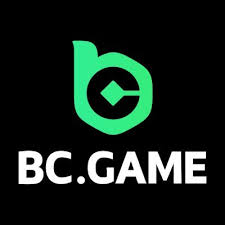 Comprehensive Overview of the BC App Features and Benefits -929807372